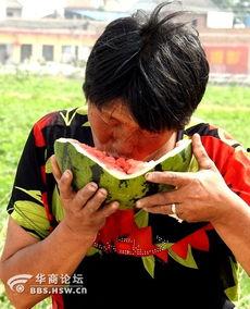 云南老太太吃瓜视频大全,笑料百出，视频大全集锦