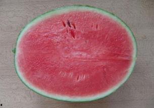 吃瓜视频群众怎么吃,揭秘网络视频时代的“瓜”文化现象