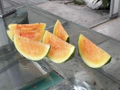 去农村吃瓜视频