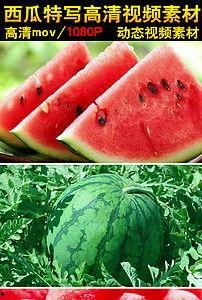 吃瓜视频大全崇明,吃瓜视频大全，揭秘岛民生活百态