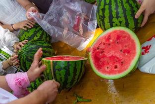 网上教学吃瓜视频,揭秘线上教学中的趣味瞬间