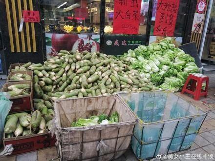 聚众吃瓜视频大全最新,聚众吃瓜视频大全，带你领略网络热议瞬间