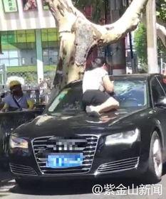 最新吃瓜抓小三视频,揭秘小三视频曝光，剧情反转引热议