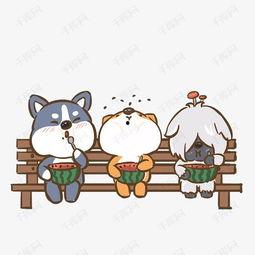 狗吃瓜视频素材下载,狗狗吃瓜视频走红网络