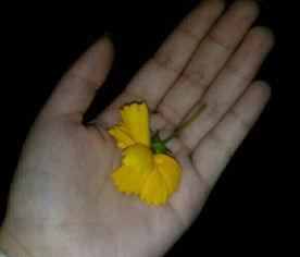 吃瓜开心视频素材,揭秘吃瓜开心视频背后的欢乐瞬间